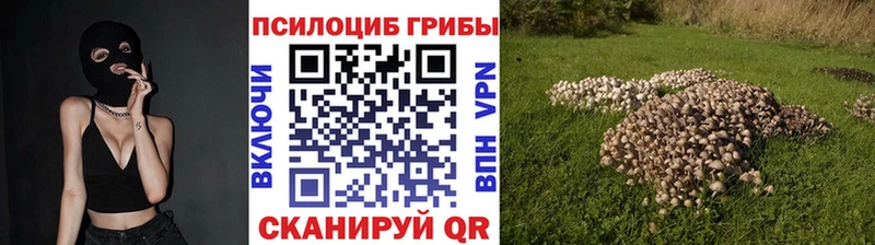 мега онион  Динская  Псилоцибиновые грибы MAGIC MUSHROOMS 